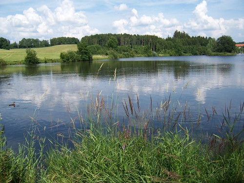 Haselbachsee – Campingplatz Sonneneck