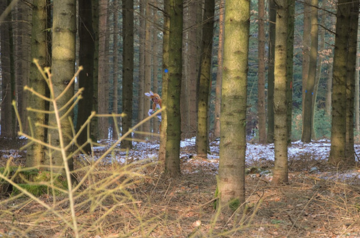 Fotogalerie – Campingplatz Sonneneck