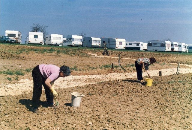 Fotogalerie – Campingplatz Sonneneck