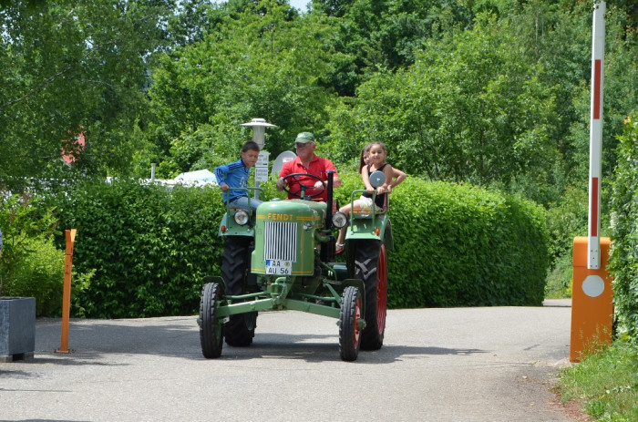 Fotogalerie – Campingplatz Sonneneck