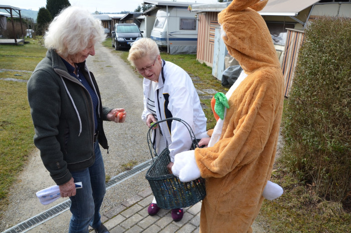 Fotogalerie – Campingplatz Sonneneck