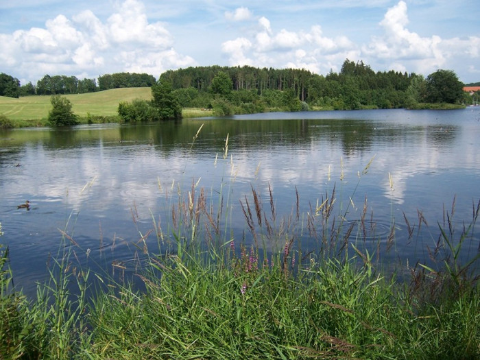 Fotogalerie – Campingplatz Sonneneck