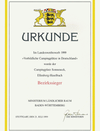 Bezirkssieger · 1999