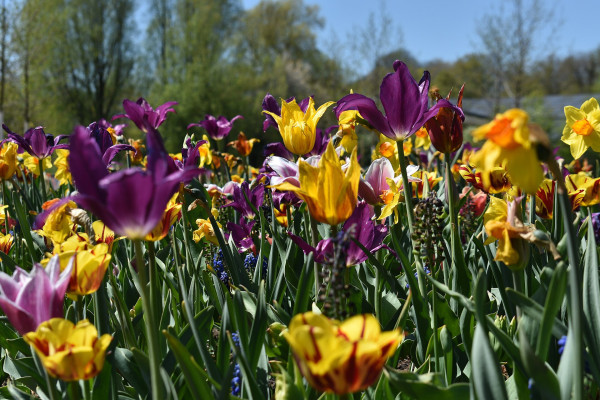 Landesgartenschau in Bildern