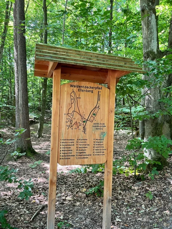 Waldentdeckerpfad